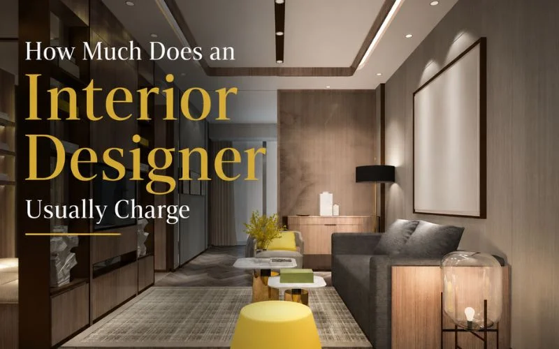 Interior Designer